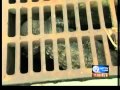 Dead gator found in WPB drain