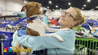 National Dog Show 2024: NDS Purina Expert POV – Keeping Dogs Entertained | NBC Sports