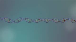 Sequencing at Speed