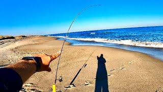 Fall Surf Fishing! Catching Tasty Beach Fish! (Fighting Through Skates)