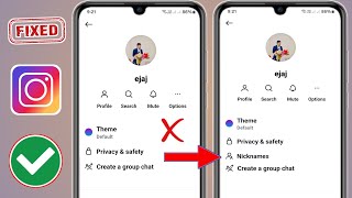 Cara Memperbaiki Masalah Opsi Nama Panggilan Obrolan Instagram Tidak Tampil (2025)