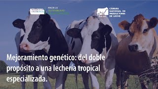 Mejoramiento genético: del doble propósito a una lechería tropical especializada. Pedro Vargas.