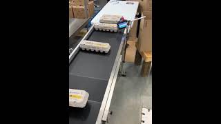 SNEED-JET Titan T6 Automatic Inkjet Coder Printing Date Codes on Egg Cartons