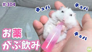 お薬を全力でガブ飲みするハムスター！