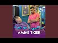 Amine tiger (drahmi raho Ghobra)