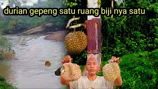 BUKAN SEKEDAR MENCARI DURIAN