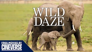 Wild Daze | Full Wildlife Documentary | Dr. Jane Goodall | Free Movies By Cineverse