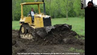 Soil Compaction and Urban Trees: Strategies for Gaining Ground