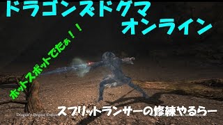 [DDON]賞金首で一気にLvを上げすぎてJPが,,,ランサー修練やるらー