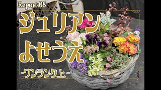 【園芸】ワンランク上のプリムラ・ジュリアン寄せ植え解説（ヒヤシンスの隠し玉付き）Report：08