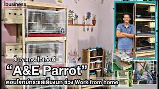 “A\u0026E Parrot” ชั้นวางกรงนกจากหนุ่มชอบงานไม้ ตอบโจทย์กระแสนิยมเลี้ยงนก สร้างรายได้ช่วง Work from home