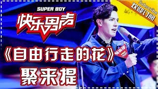 《15强歌曲纯享》聚来提：《自由行走的花》 Super Boy2017 【快男超女官方频道】