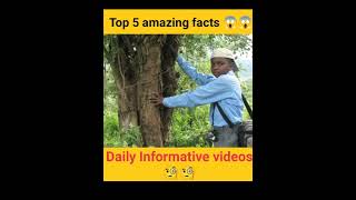 Top 5 amazing facts 😱😱 | facts in hindi | random facts #shorts