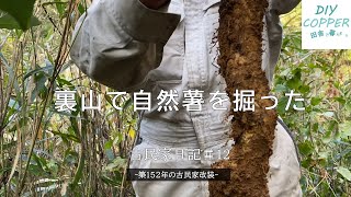 【築152年の古民家再生】自然薯好きによる自然薯堀り！！自信あります。　70歳から始めるDIY・田舎暮らし