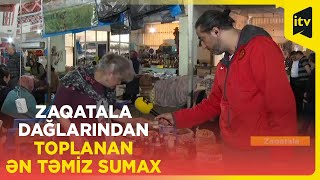 Zaqatala dağlarından toplanan ən təmiz sumax