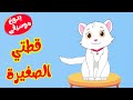 قناة طم طم | أغنية قطتي الصغيرة  بدون موسيقى