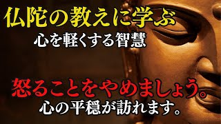 仏陀の教えに学ぶ、心を軽くする智慧：「怒らないことによって怒りに打ち勝て」