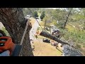 more deadly trees removed from tornado devastated amory mississippi