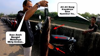 Rejeki Bapak Berkacamata Kita Kasih ikan Besar Karena Udah Rela Bantu Untuk Mengevakuasi Monster ini