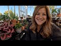 Potting Houseplants 🌸 // Garden Answer!