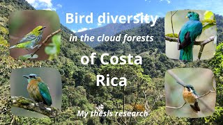 My research on bird diversity in the cloud forests of Costa Rica!