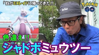 【ポケモンGO】色違えシャドボミュウツー！初日にEXレイド2連戦！【最大CP2387】