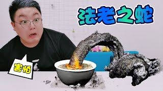 【架麼饞】小陽召喚法老之蛇，結果召喚出“法老小蚯蚓，哪裡出錯了？