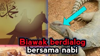 Dhab(biawak padang pasir) yang Beriman.