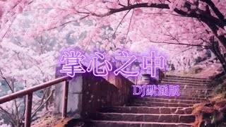 魏佳艺 - 掌心之中（DJ默涵版）『你会不会捧我在掌心之中 让我感受你的不同』 【动态歌词/Chinese Lyrics】