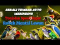 MASTERAN BURUNG KASAR ISIAN NGEROL TAJAM MATERI EDAN | GANTANGAN DI BIKIN MERINDING SEKALI NAFAS