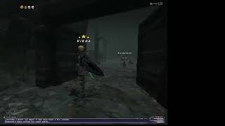 FFXI Assault Seagull Grounded