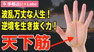 【手相占い】天下筋とは？【サクッと解説】