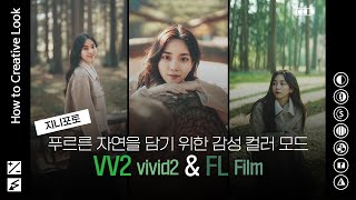 봄처럼 푸른 감성을 담다🌱 숲 속 감성 인물 사진을 위한  '크리에이티브 룩 VV2(vivid2) & FL(Film)'│박성진│α𝟕 𝐈𝐕│How to Creative Look