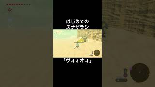 はじめてのスナザラシ #ゼルダの伝説 #ブレスオブザワイルド #botw #shorts