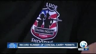Record number of conceal-carry permits