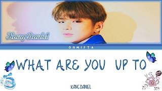 강다니엘(KANG DANIEL) 'WHAT ARE YOU UP TO' (Color Coded Lyrics Indo_Rom_Han) Lirik Terjemahan Indonesia