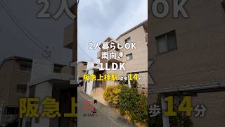 【仲介手数料無料】南向き1LDK2人暮らしOKの物件が上桂駅徒歩14分に出ました #京都賃貸 #お部屋探し #shorts