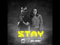 stay