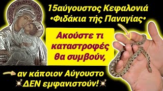 🎀15Αύγουστος: δες τι καταστροφή θα γίνει, αν ΔΕΝ εμφανιστούν τα φιδάκια τής Παναγίας! #15august