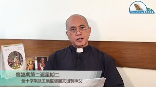 每日聖言分享 【將臨期第二週星期二(瑪 18:12-14)】 聖十字架及主業監督團文祖賢神父