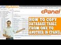 HOW TO COPY TABLES FROM ONE DATABASE TO ANOTHER IN CPANEL? [STEP BY STEP]☑️