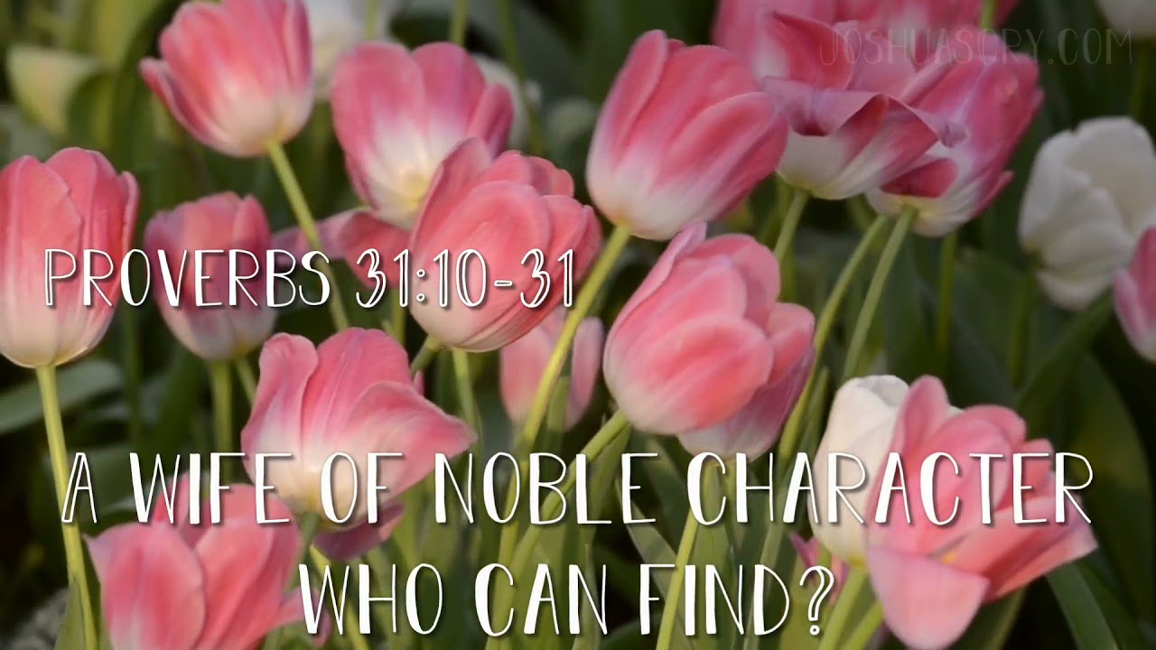 The Wife Of Noble Character Proverbs 31 10 31 Niv Proverbs 31 10 31