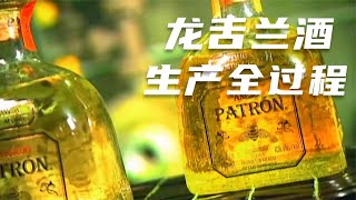 一分钟带你了解龙舌兰酒生产的全过程