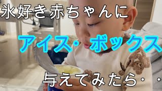 【赤ちゃんがアイスボックスに良い反応😊】赤ちゃん1歳5ヶ月