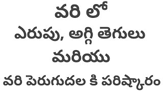 వరి లో ఎరుపు అగ్గితెగులు పెరుగుదల ఇంకా మరెన్నో సమస్యలకు పరిష్కారం