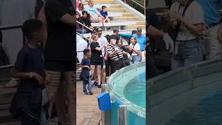 Help me out here 😂🤣 Tom mime seaworld hilarious #seaworldmime #comedy #shorts