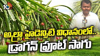 అల్ట్రా హైడెన్సిటి విధానంలో.. డ్రాగన్ ఫ్రూట్ సాగు | Dragon Fruit Cultivation | Matti Manishi | 10TV