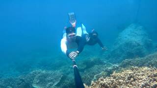 Moalboal.Cebu / 墨寶.宿霧.菲律賓 / 自由潛水 Z.C.Freedive