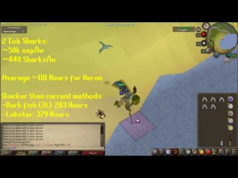 2-tick Sharks: A Fast Way To Get The Heron Pet 2-tick Sharks: A Fast Way To Get The Heron Pet