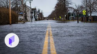 How to Identify Flood Vulnerabilities